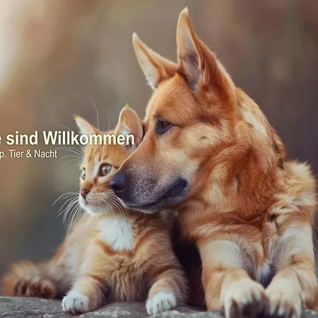 Ξενοδοχείο Ferien Spree-neisse Neuhausen (Brandenburg)